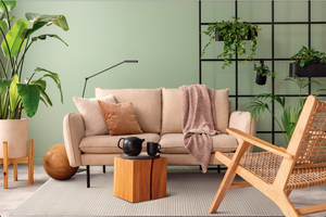La magia de decorar tu sala con plantas